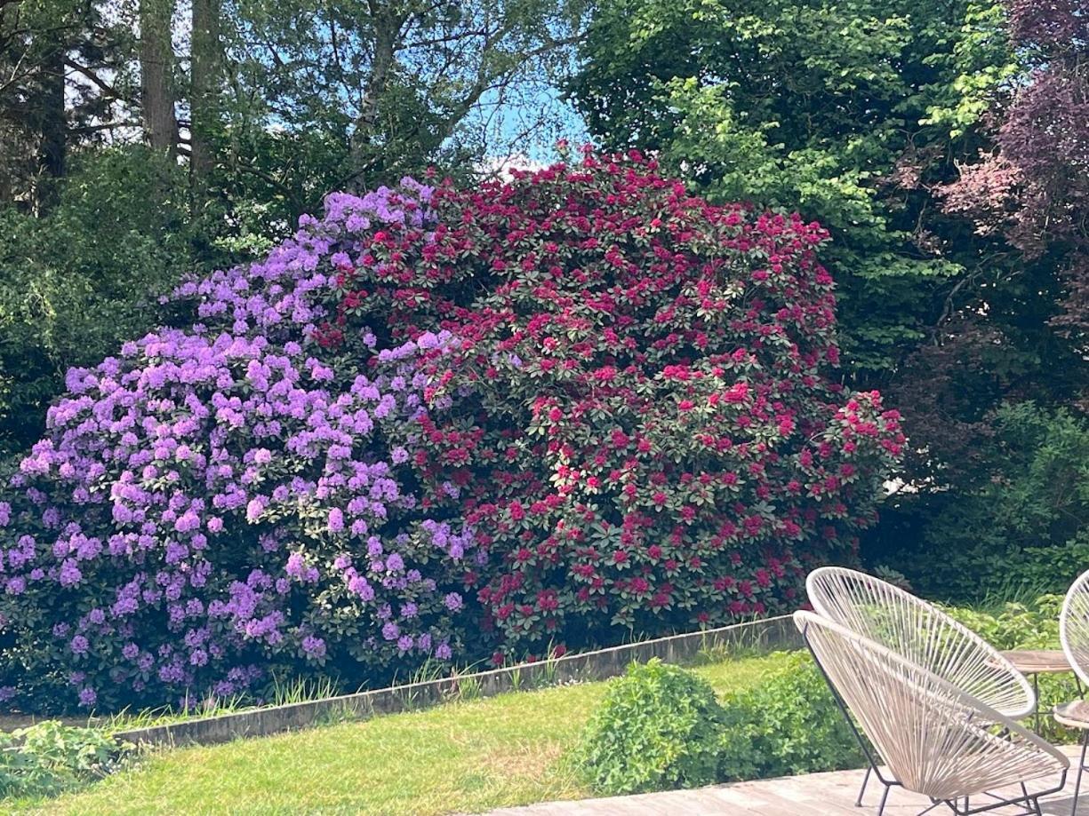Croix Les Glycines B&B 외부 사진